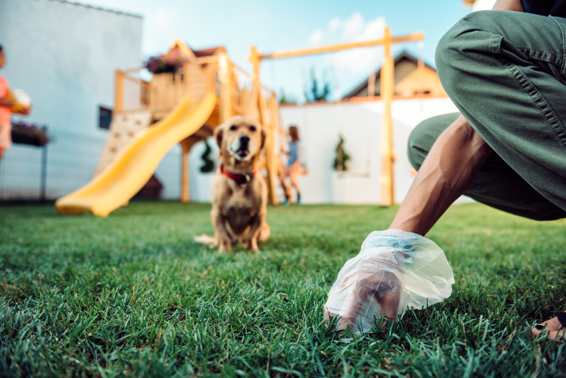 Woman picking up dog poop from the lawn